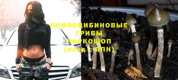 ешки Горно-Алтайск