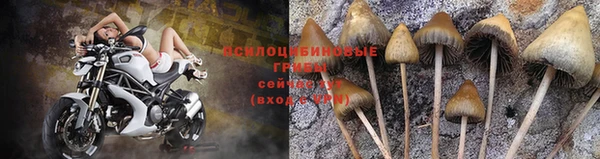ешки Горно-Алтайск